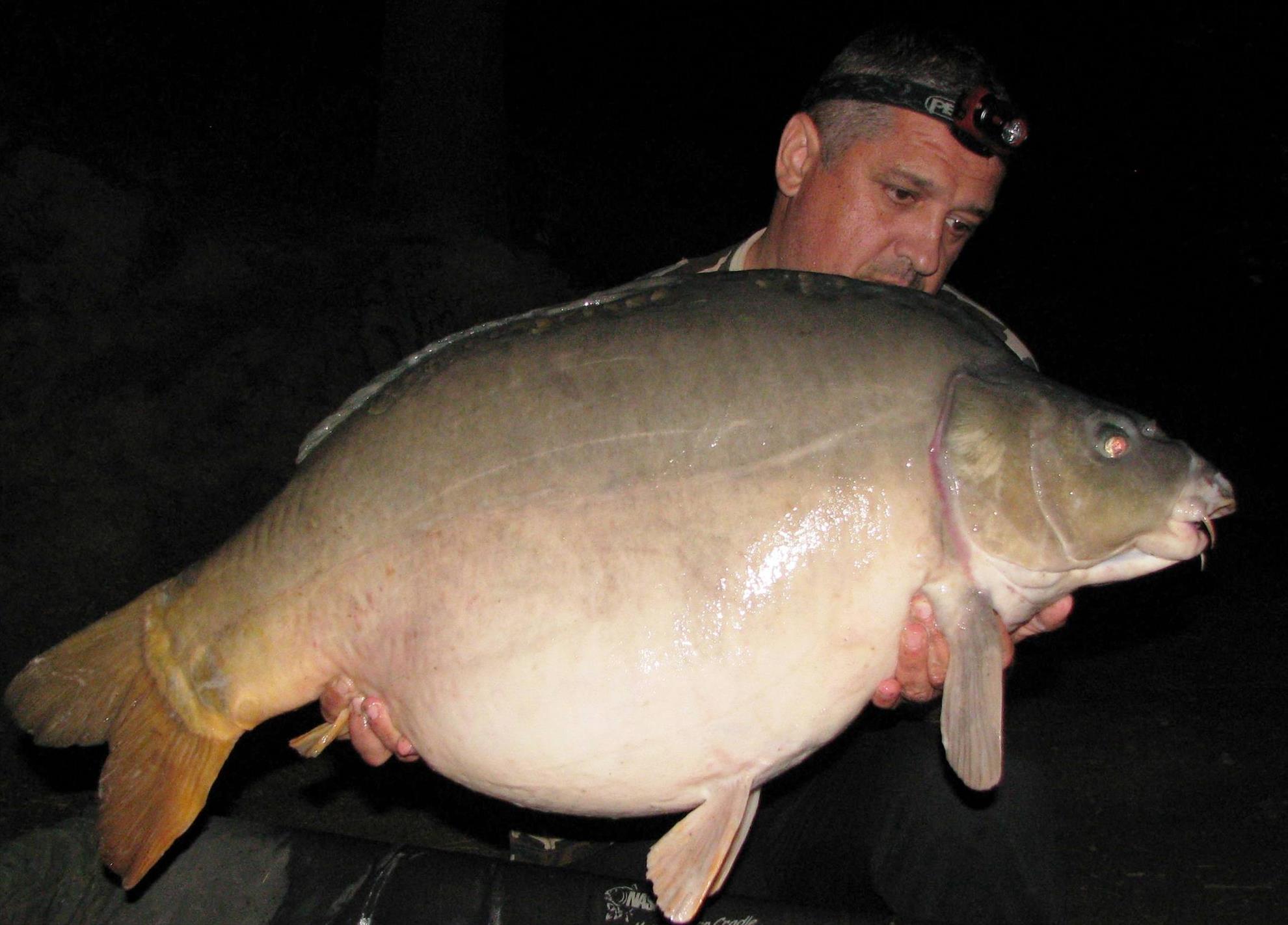 Harsany 22 - 27 iunie 2014 - img1402.JPG